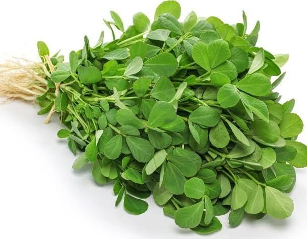 Fenugreek 1kat