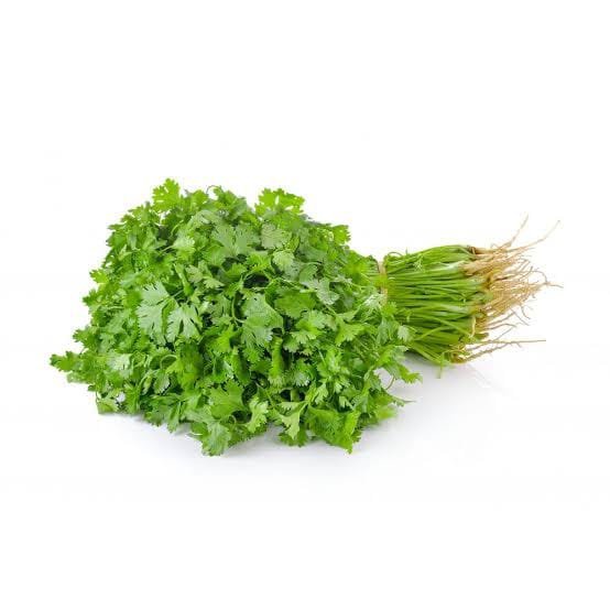 coriander 1kat