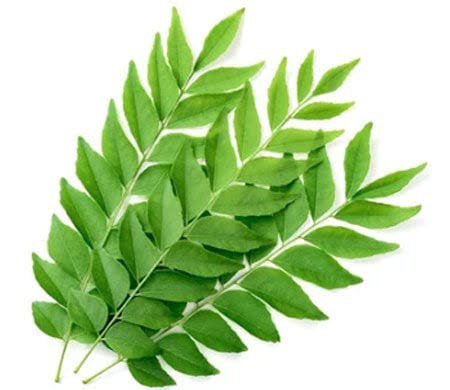 Curry leaves(karyapat) 1kat