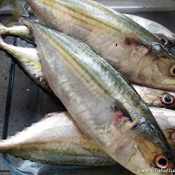 Fresh Bangda Fish – Whole 500gm