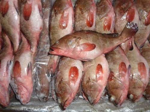 Muriya Fish 1kg