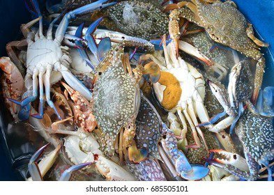 Fresh Blue Crab – Seafood 500gm